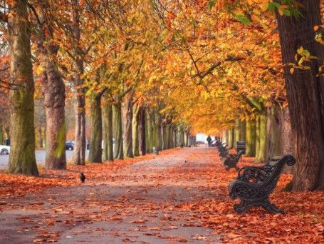 伦敦的秋天别辜负，哪里最美最治愈？捡板栗、赏红叶、摘南瓜……