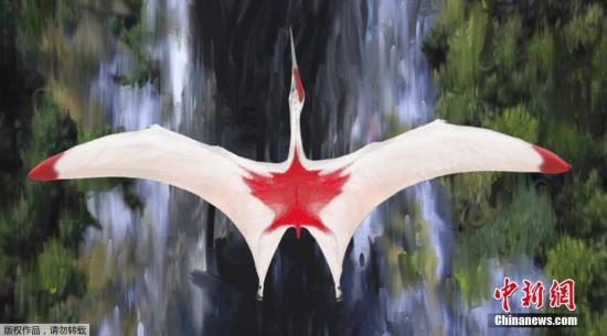 9月10日讯，英国伦敦大学玛丽女王学院(Queen Mary University of London)10日发布的图片显示了一个名为“波瑞阿斯冰龙”的翼龙新物种形象。翼龙又名翼手龙，是一种已经灭绝的爬行类，共有近100多个品种。尽管与恐龙生存的时代相同，但翼龙并不是恐龙，而是飞行爬行动物演化支，翼龙生存于晚三叠纪到白垩纪末，约2亿1000万年前到6500万年前。