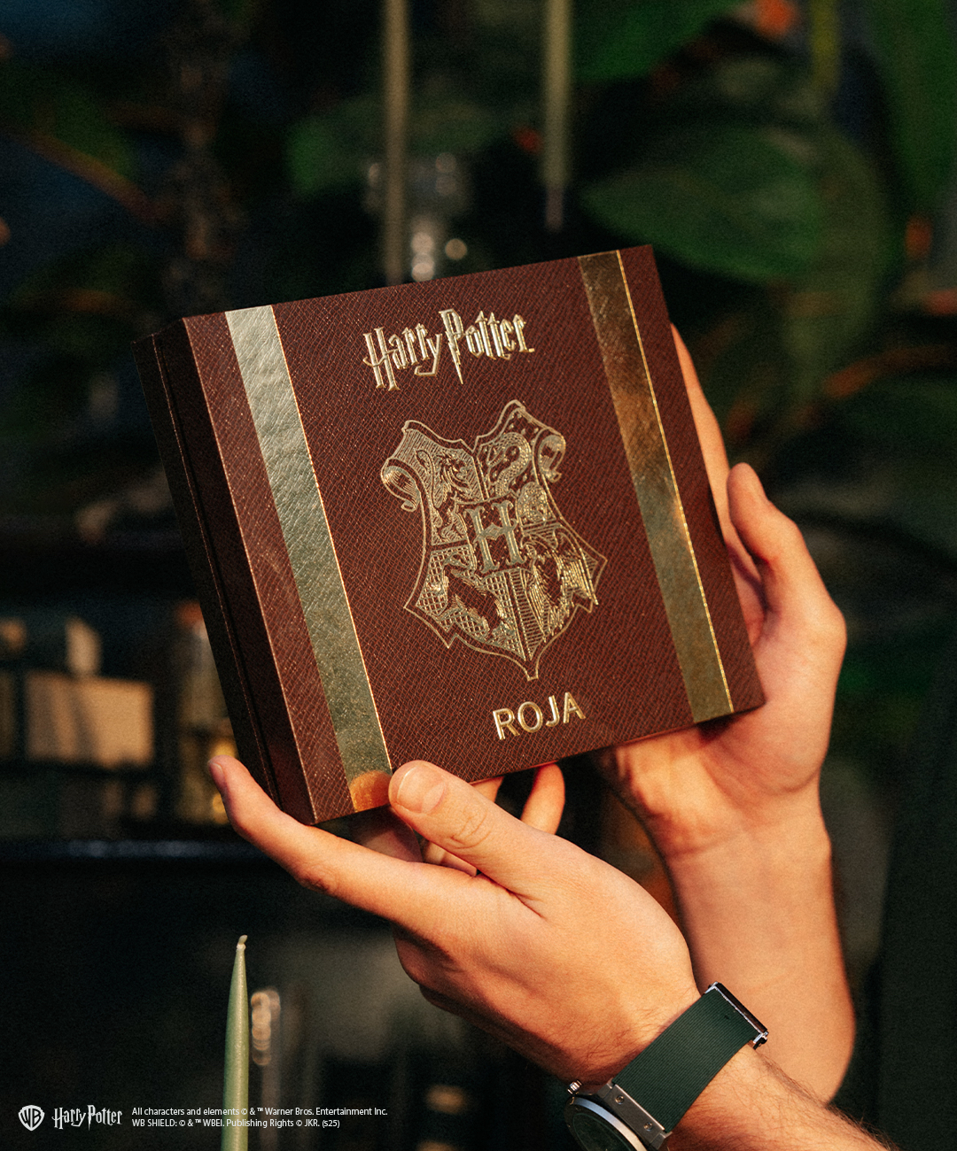 Slytherin Travel Set.jpeg