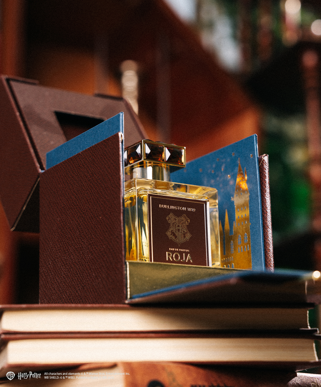 Hogwarts Box Open.jpeg